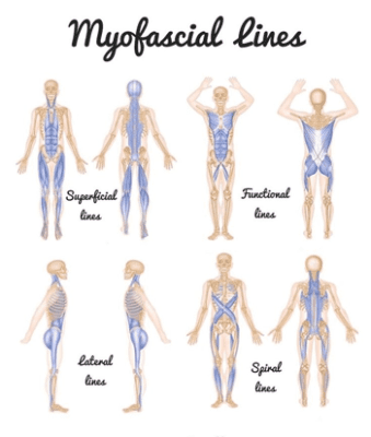 Fascia Line