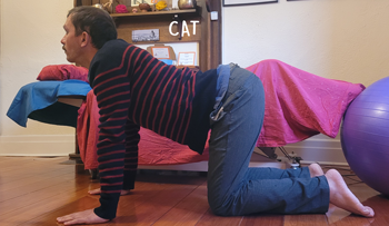 Giovanni doing cat cow position