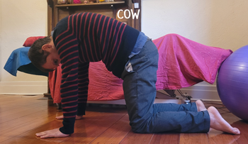 Giovanni doing Cat Cow Position