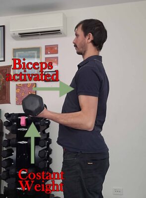 Bicep Isometric Exercises