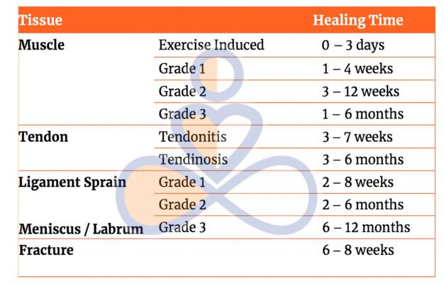 Table representing the different body's tissue healing time