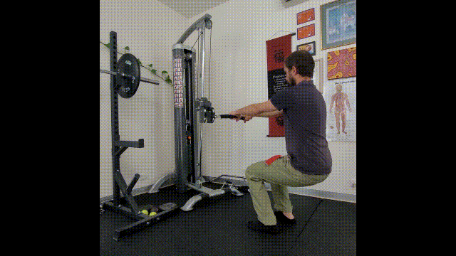 Kinetic Link Training - Posterior Pull with Squat, Functional Training