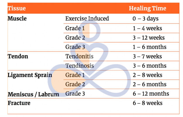 Chronic Pain is not always about damaged tissue